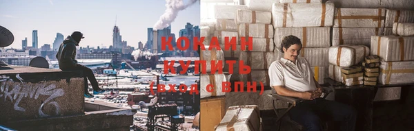 гашик Алексин