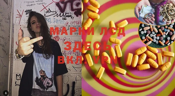 гашик Алексин