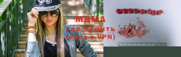 гашик Алексин