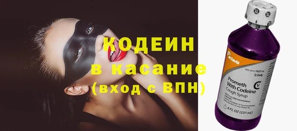 гашик Алексин