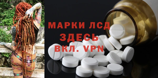 гашик Алексин
