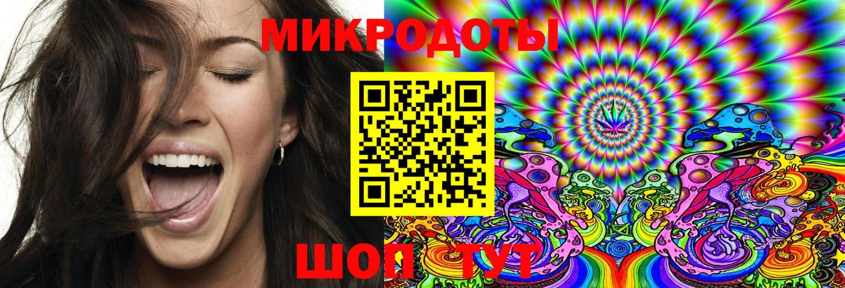 Галлюциногенные грибы Psilocybe Апатиты