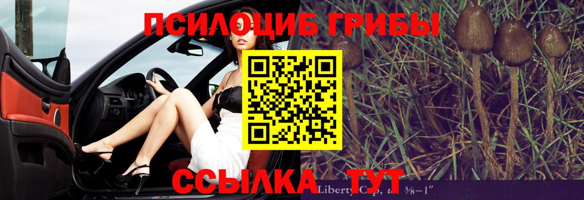 Псилоцибиновые грибы мицелий  Вход с VPN  Апатиты  Галлюциногенные грибы MAGIC MUSHROOMS 